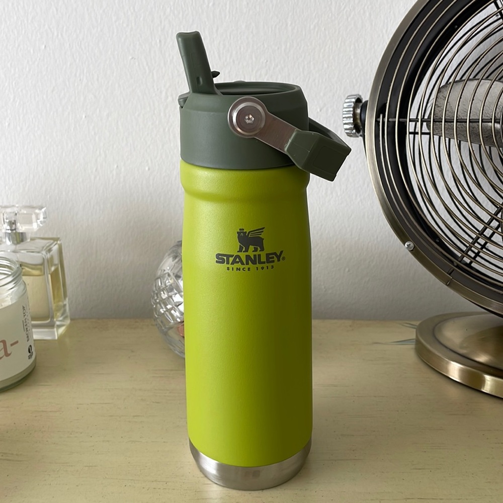 Stanley Tumbler Avocado